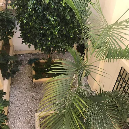 Apartmán Mimosas *