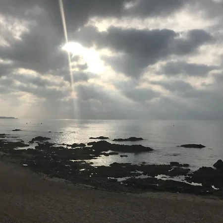 Mimosas * La Cala De Mijas